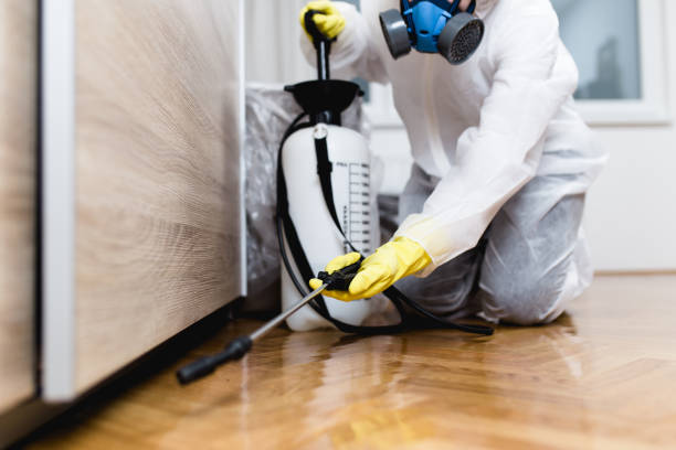 Pest Control Cost in Prairie View, TX