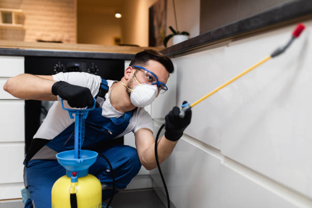 Pest Control for Restaurants in Prairie View, TX