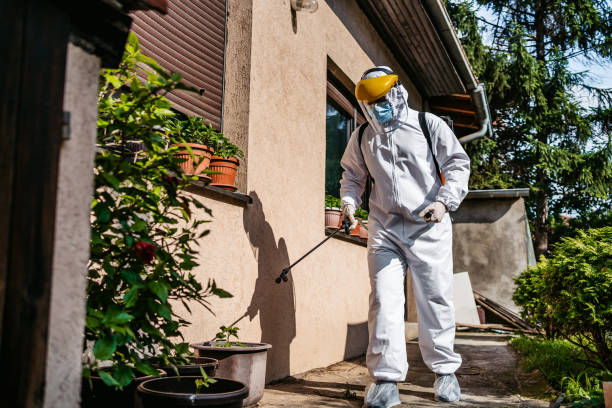 Best Pest Prevention Services  in Prairie View, TX