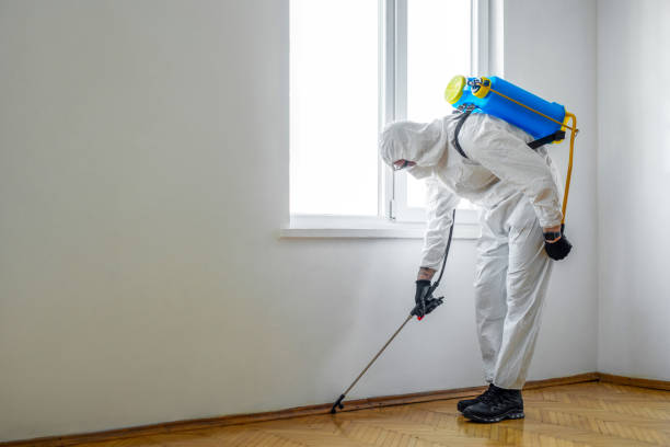 Best Pest Inspection Near Me  in Prairie View, TX