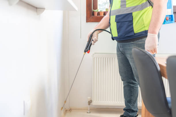 Best Local Pest Control Services  in Prairie View, TX