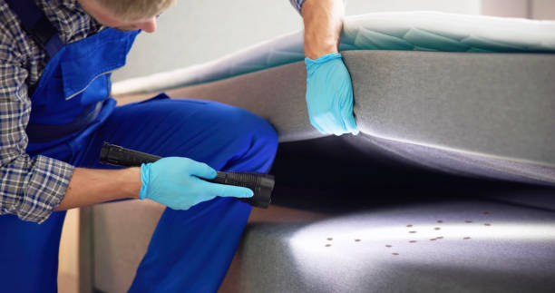 Best Affordable Pest Control Services  in Prairie View, TX