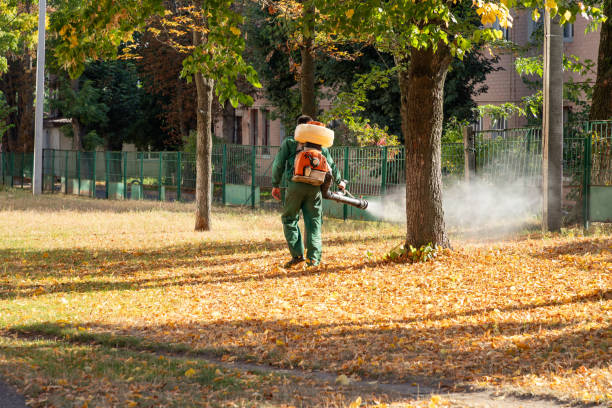 Best Best Pest Control Companies  in Prairie View, TX