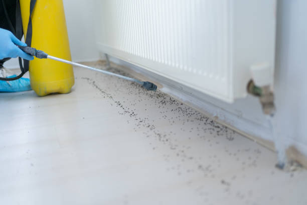 Prairie View, TX Pest Control Company