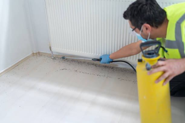 Best Pest Removal Services  in Prairie View, TX