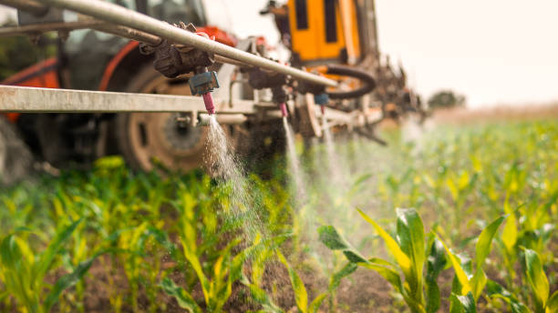 Best Wildlife Control Services  in Prairie View, TX